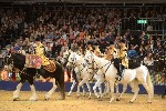 Cavalry - 00068